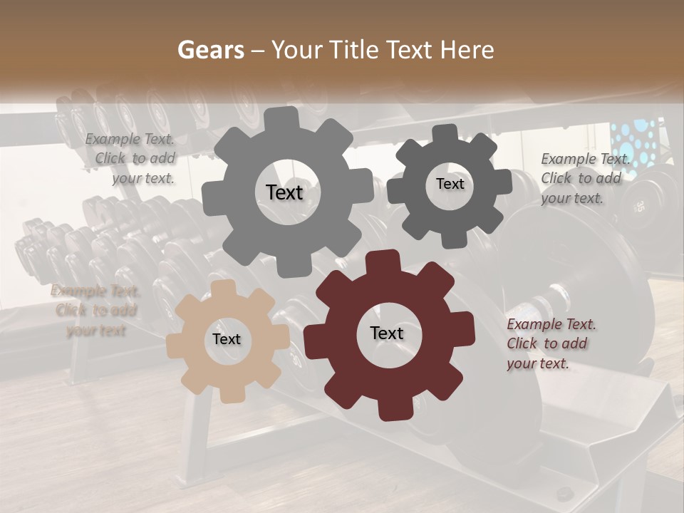 Dumbbells In The Gym PowerPoint Template