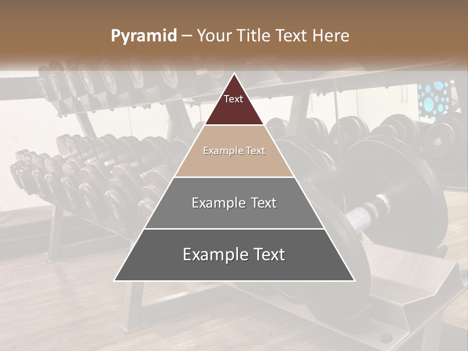 Dumbbells In The Gym PowerPoint Template