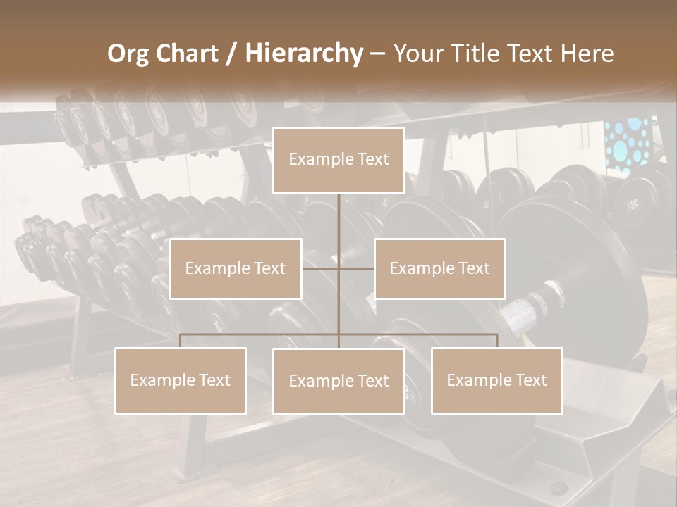 Dumbbells In The Gym PowerPoint Template