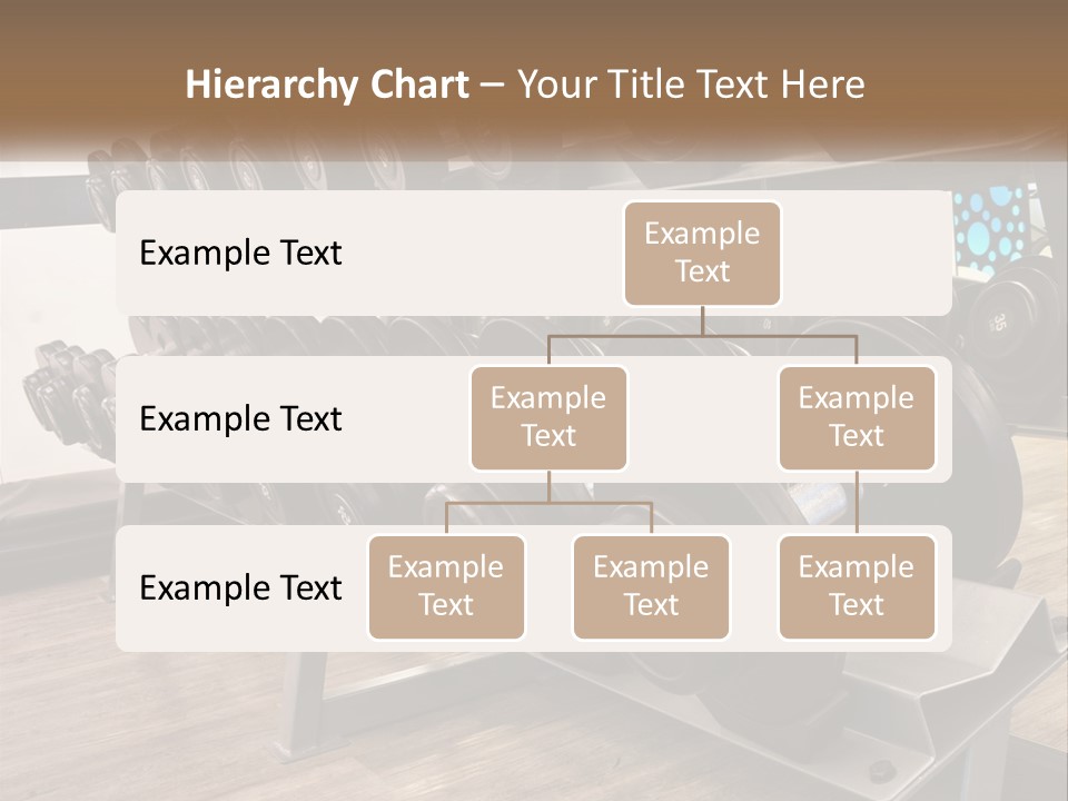 Dumbbells In The Gym PowerPoint Template