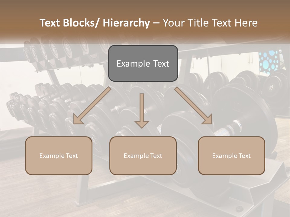 Dumbbells In The Gym PowerPoint Template