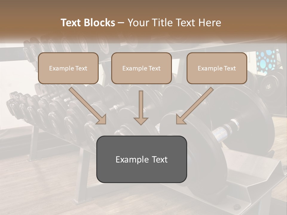 Dumbbells In The Gym PowerPoint Template