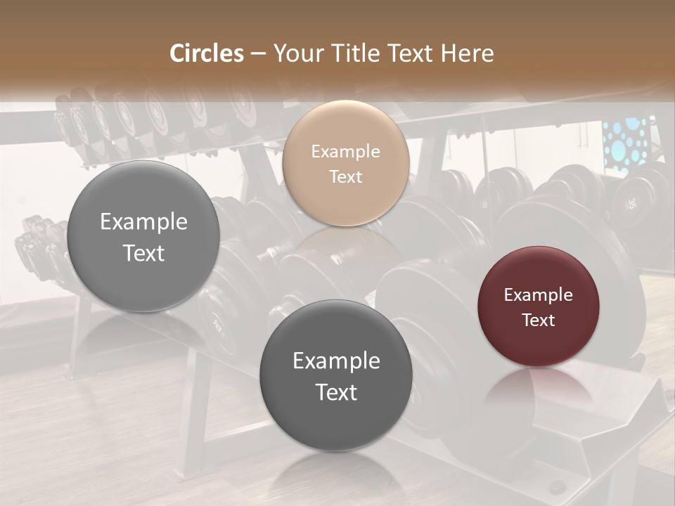 Dumbbells In The Gym PowerPoint Template