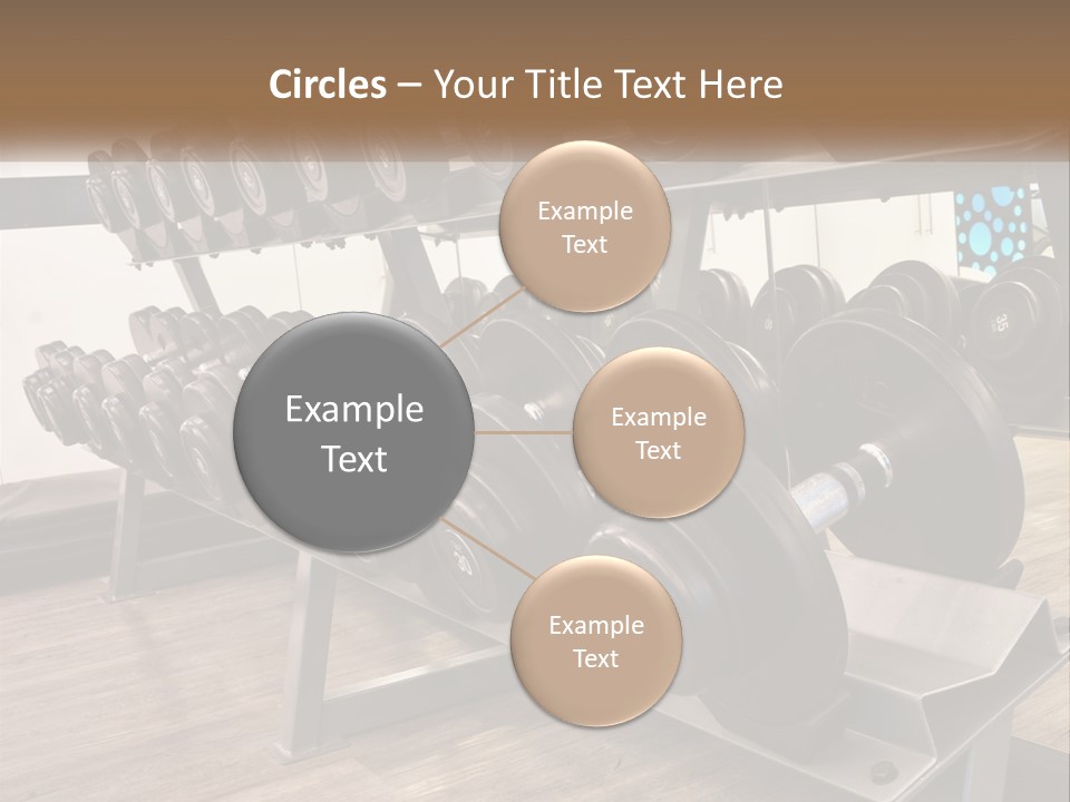 Dumbbells In The Gym PowerPoint Template