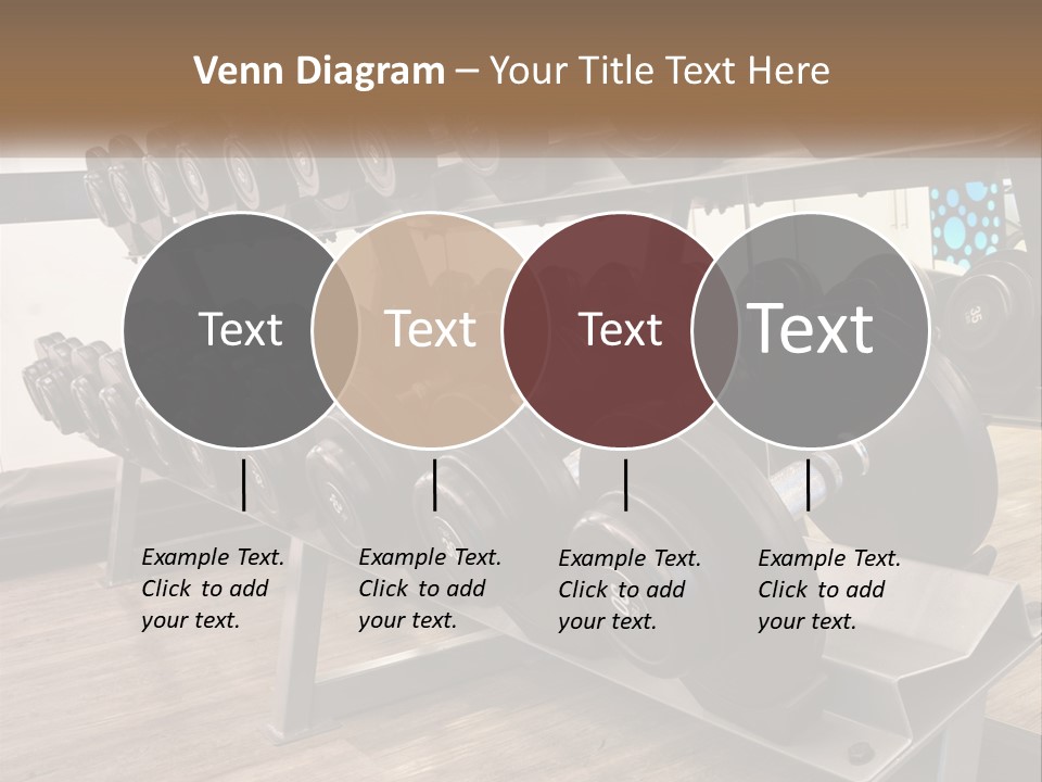 Dumbbells In The Gym PowerPoint Template