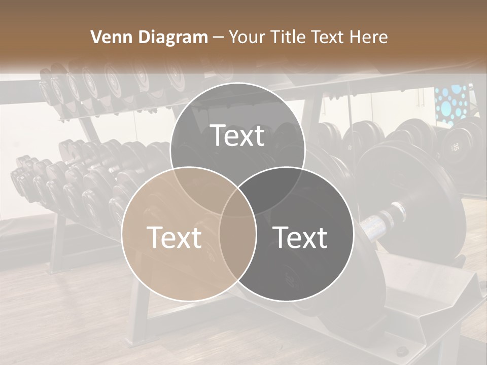 Dumbbells In The Gym PowerPoint Template