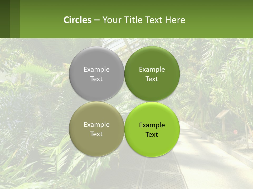 Palm Trees In The Greenhouse PowerPoint Template