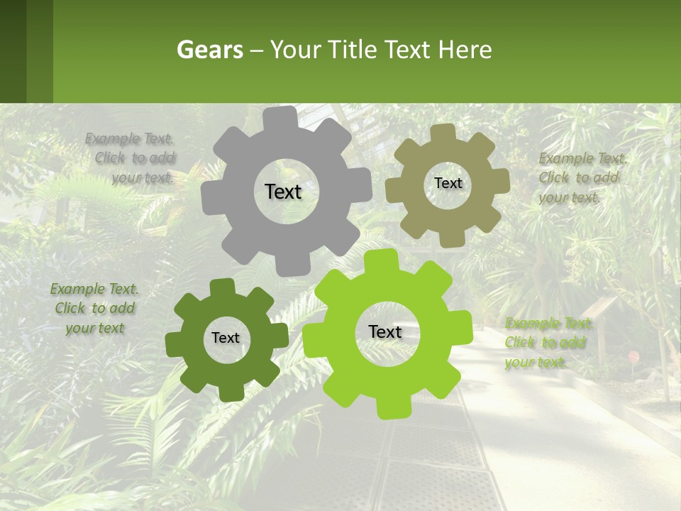 Palm Trees In The Greenhouse PowerPoint Template