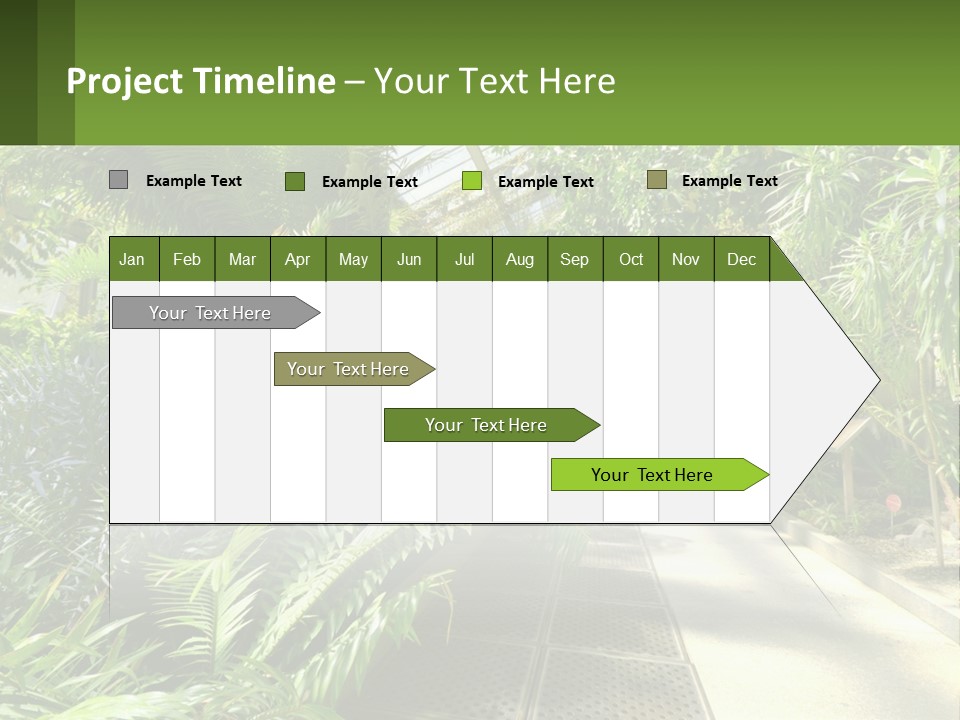 Palm Trees In The Greenhouse PowerPoint Template