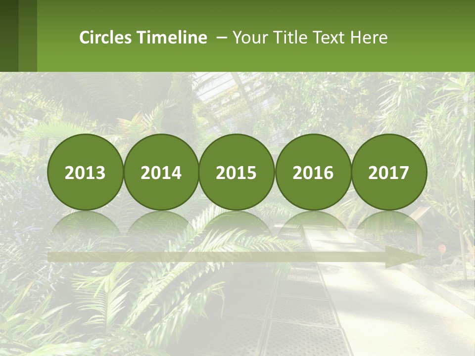 Palm Trees In The Greenhouse PowerPoint Template