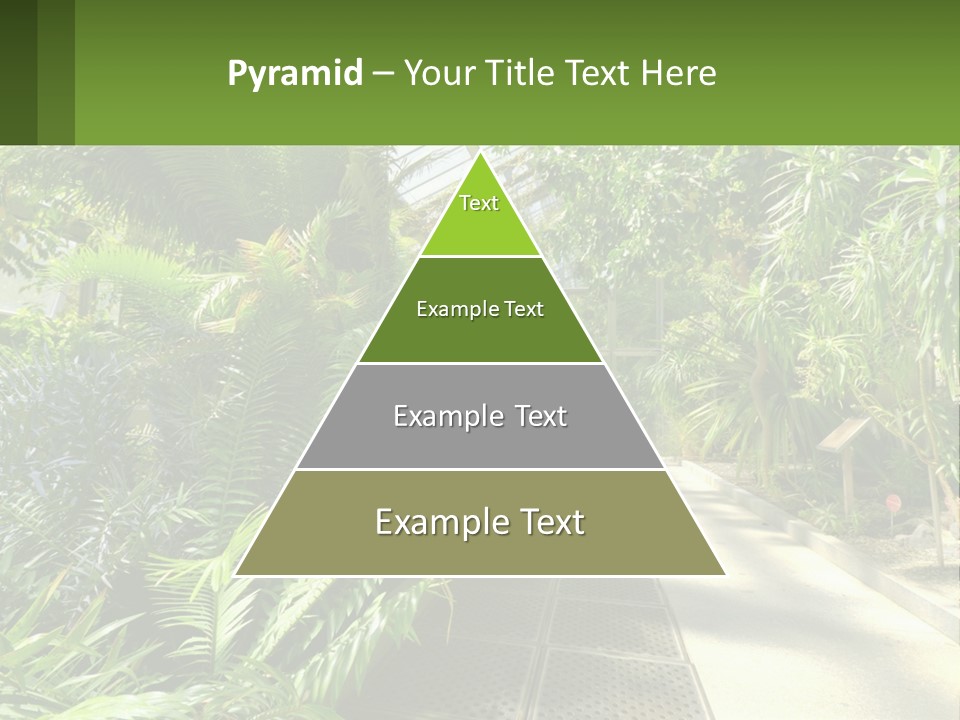 Palm Trees In The Greenhouse PowerPoint Template