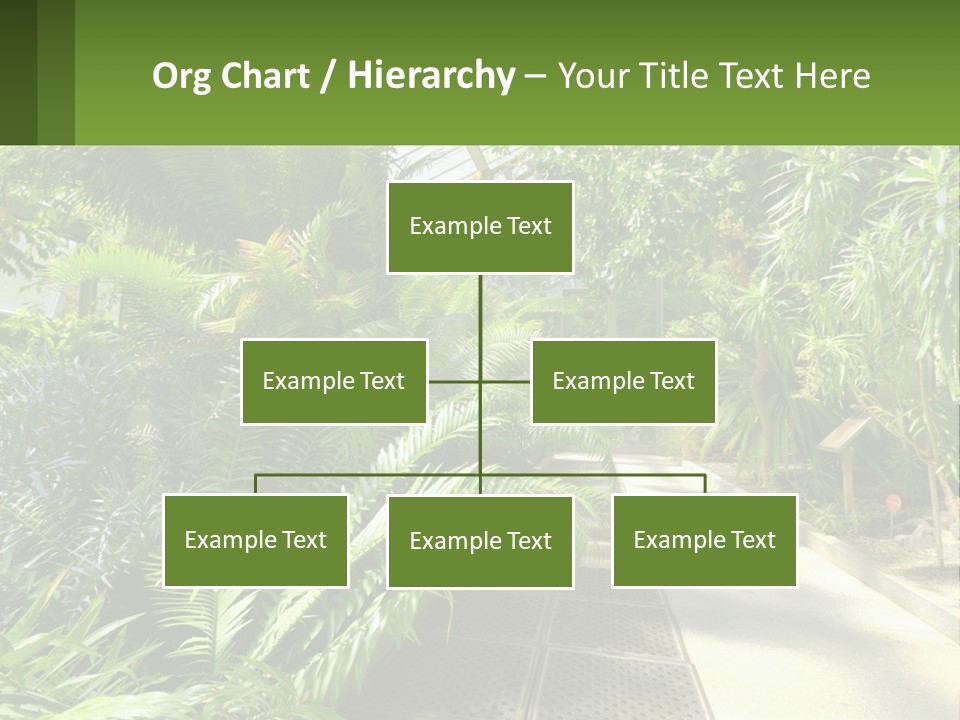 Palm Trees In The Greenhouse PowerPoint Template