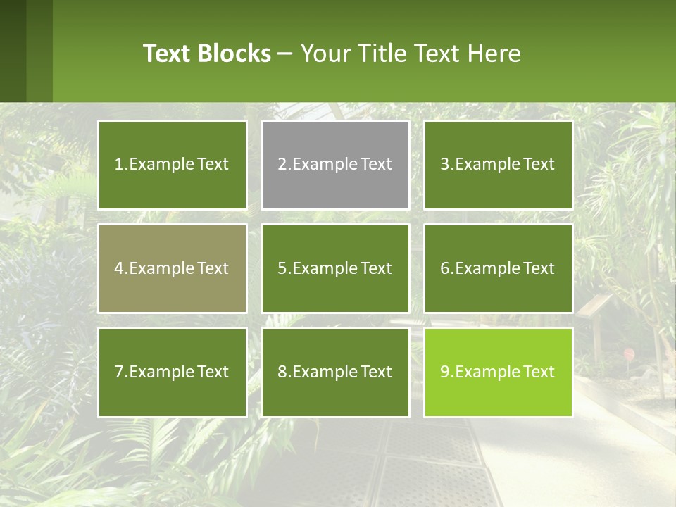 Palm Trees In The Greenhouse PowerPoint Template