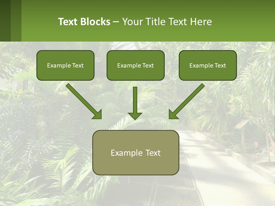 Palm Trees In The Greenhouse PowerPoint Template