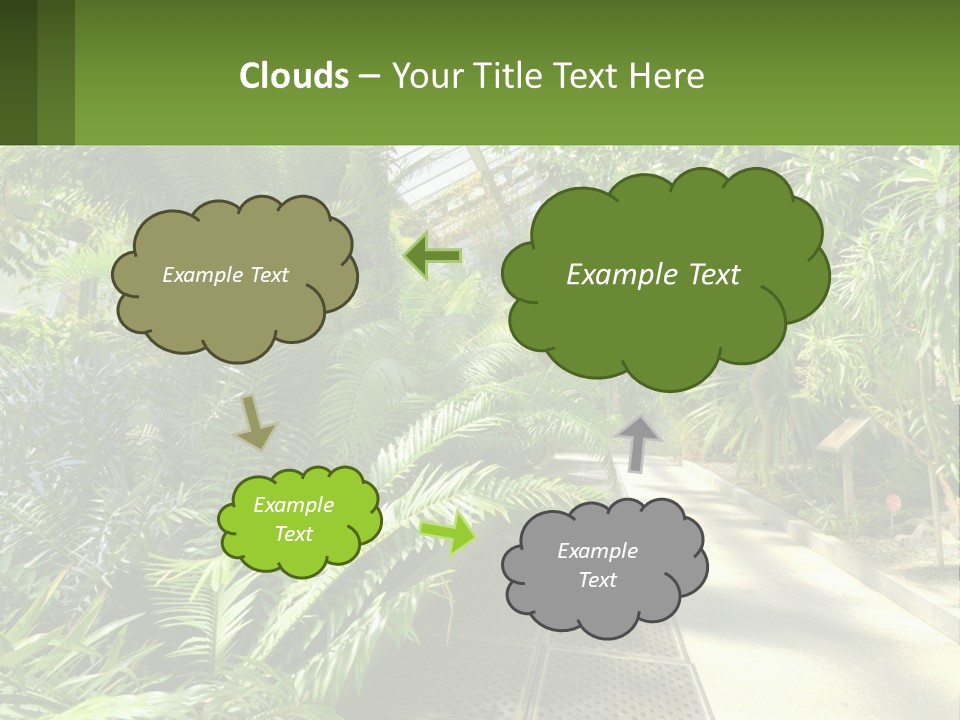 Palm Trees In The Greenhouse PowerPoint Template