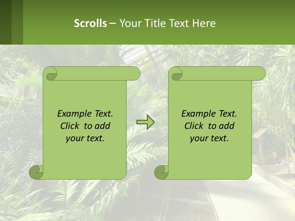 Palm Trees In The Greenhouse PowerPoint Template
