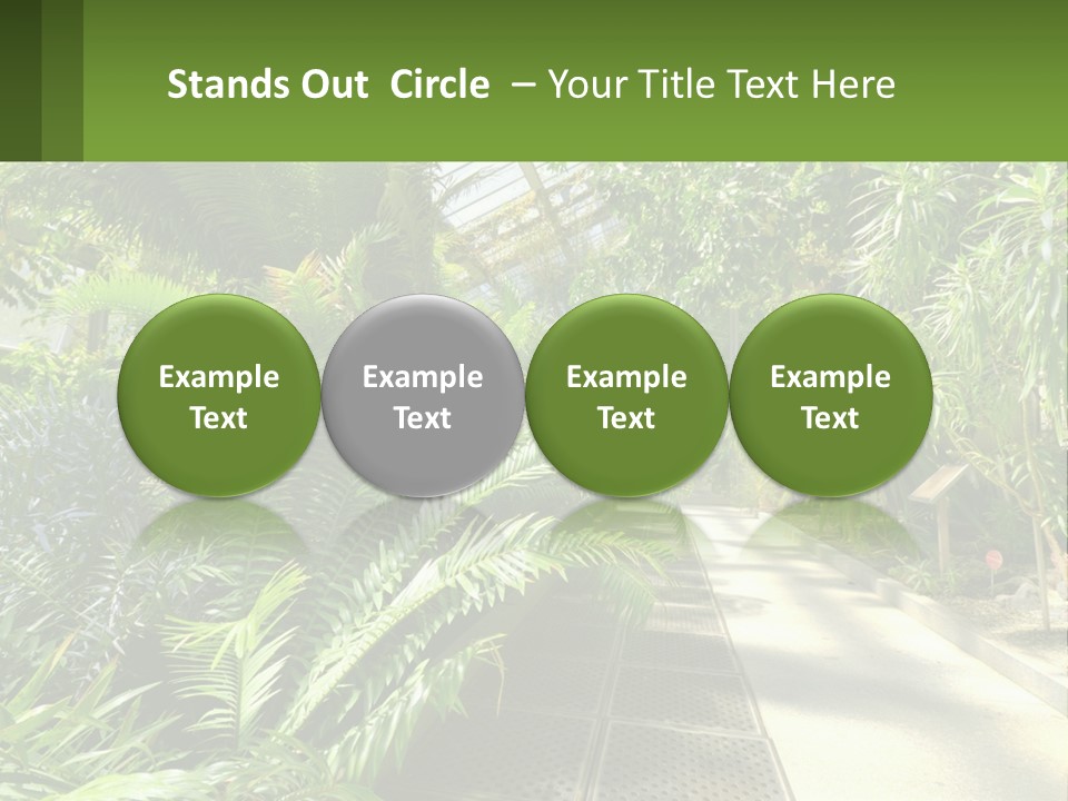 Palm Trees In The Greenhouse PowerPoint Template
