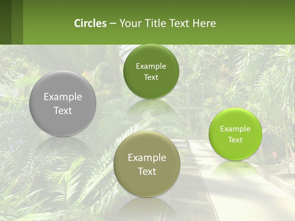 Palm Trees In The Greenhouse PowerPoint Template