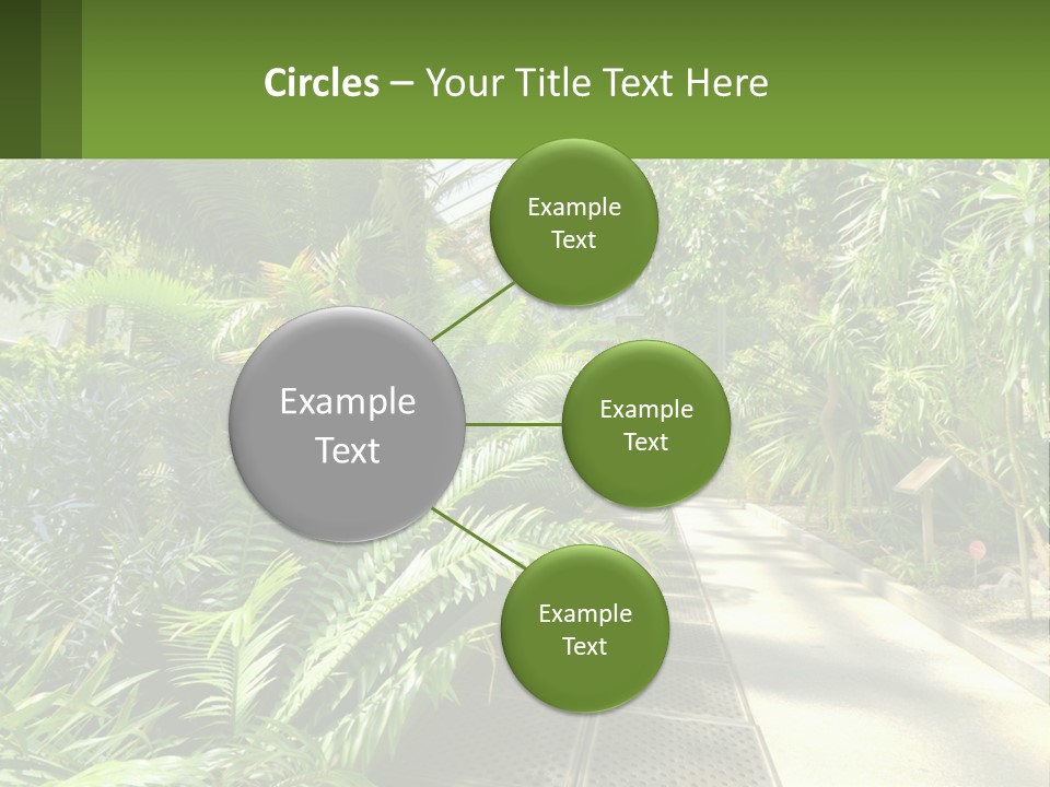 Palm Trees In The Greenhouse PowerPoint Template