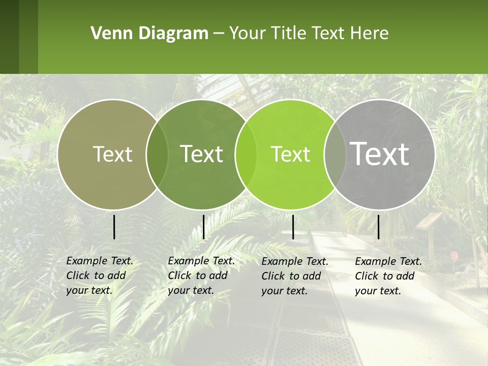 Palm Trees In The Greenhouse PowerPoint Template