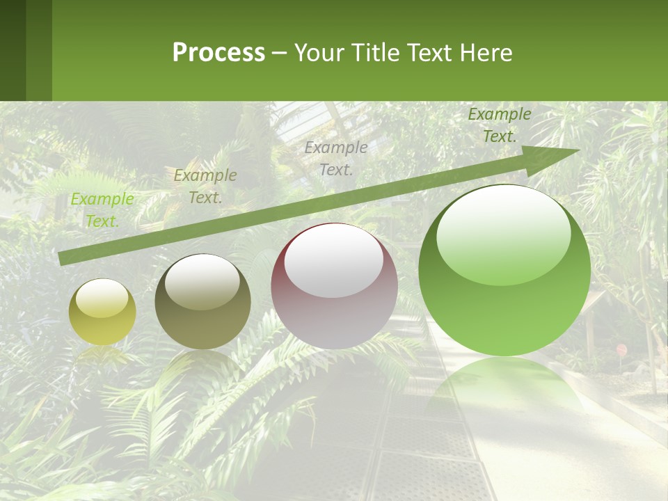 Palm Trees In The Greenhouse PowerPoint Template