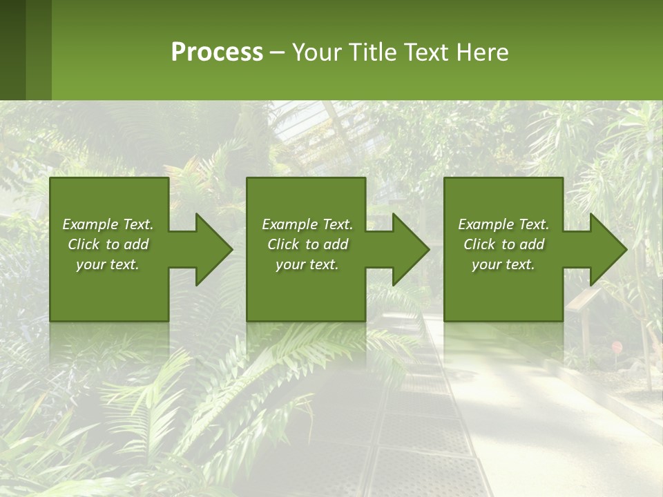 Palm Trees In The Greenhouse PowerPoint Template