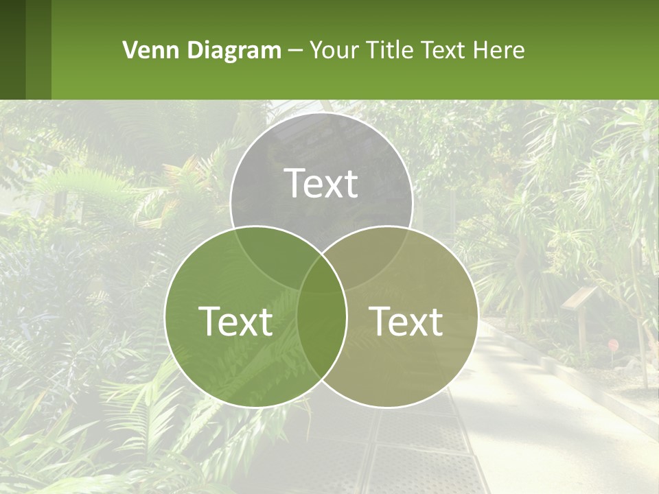 Palm Trees In The Greenhouse PowerPoint Template