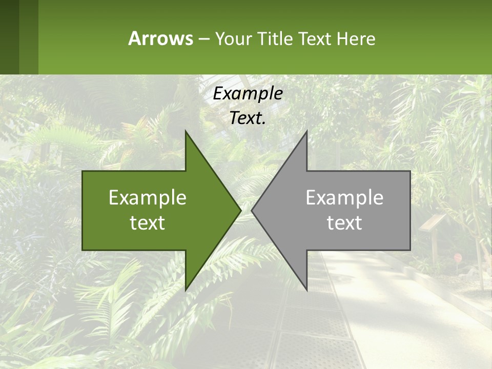 Palm Trees In The Greenhouse PowerPoint Template