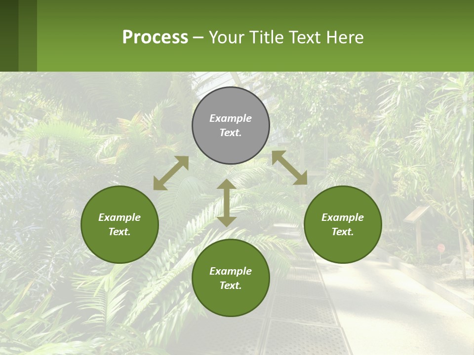 Palm Trees In The Greenhouse PowerPoint Template