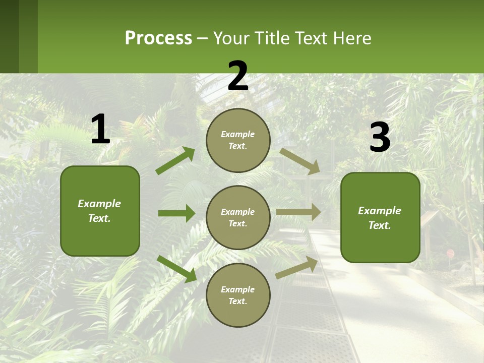Palm Trees In The Greenhouse PowerPoint Template