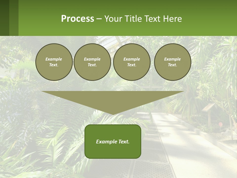 Palm Trees In The Greenhouse PowerPoint Template