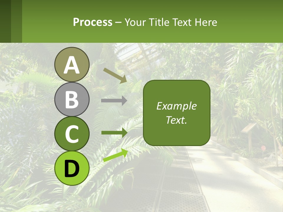 Palm Trees In The Greenhouse PowerPoint Template