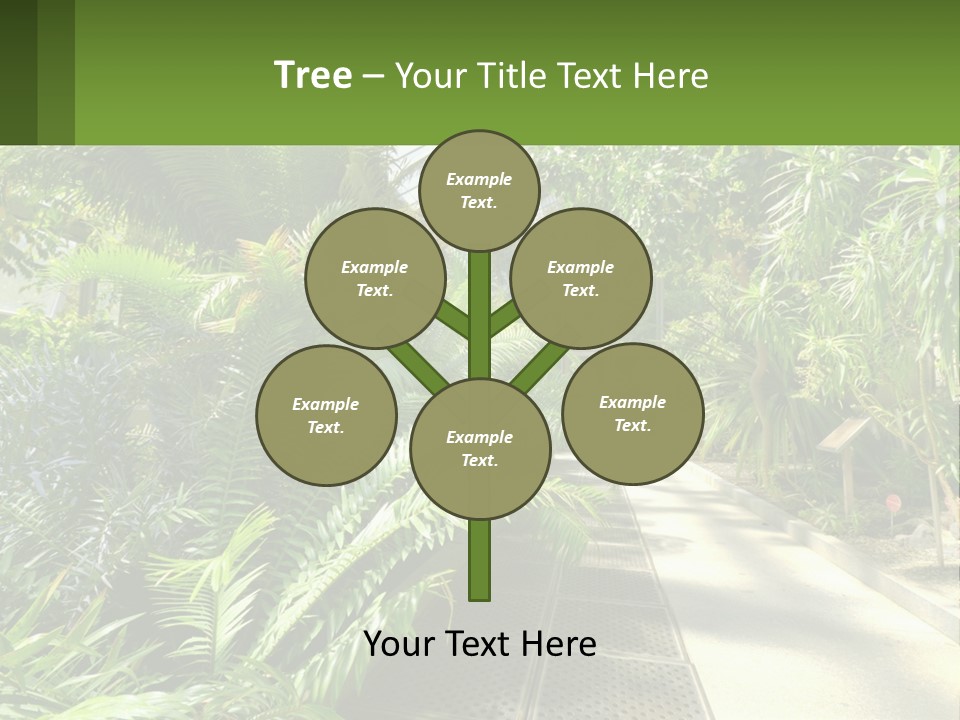 Palm Trees In The Greenhouse PowerPoint Template