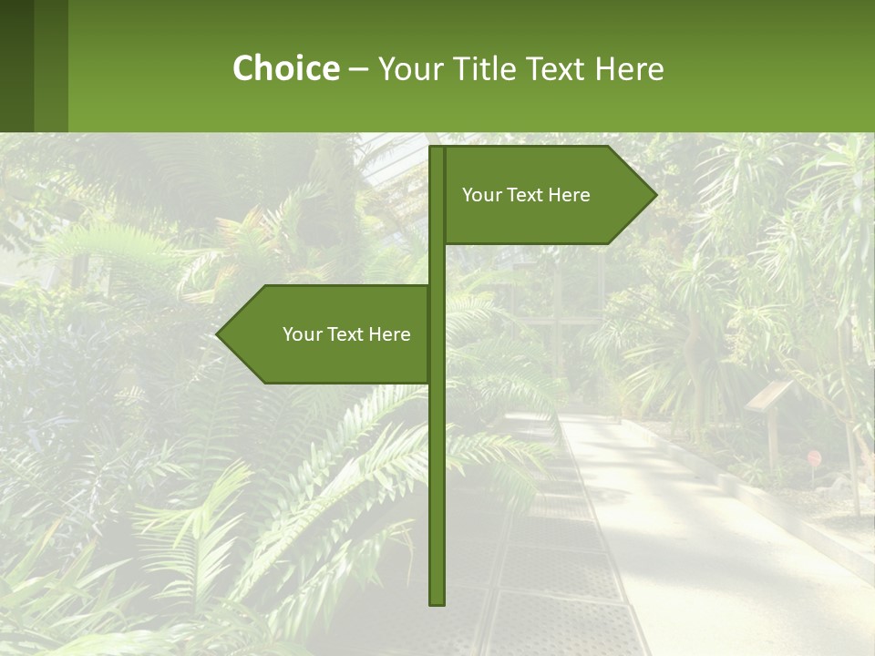 Palm Trees In The Greenhouse PowerPoint Template