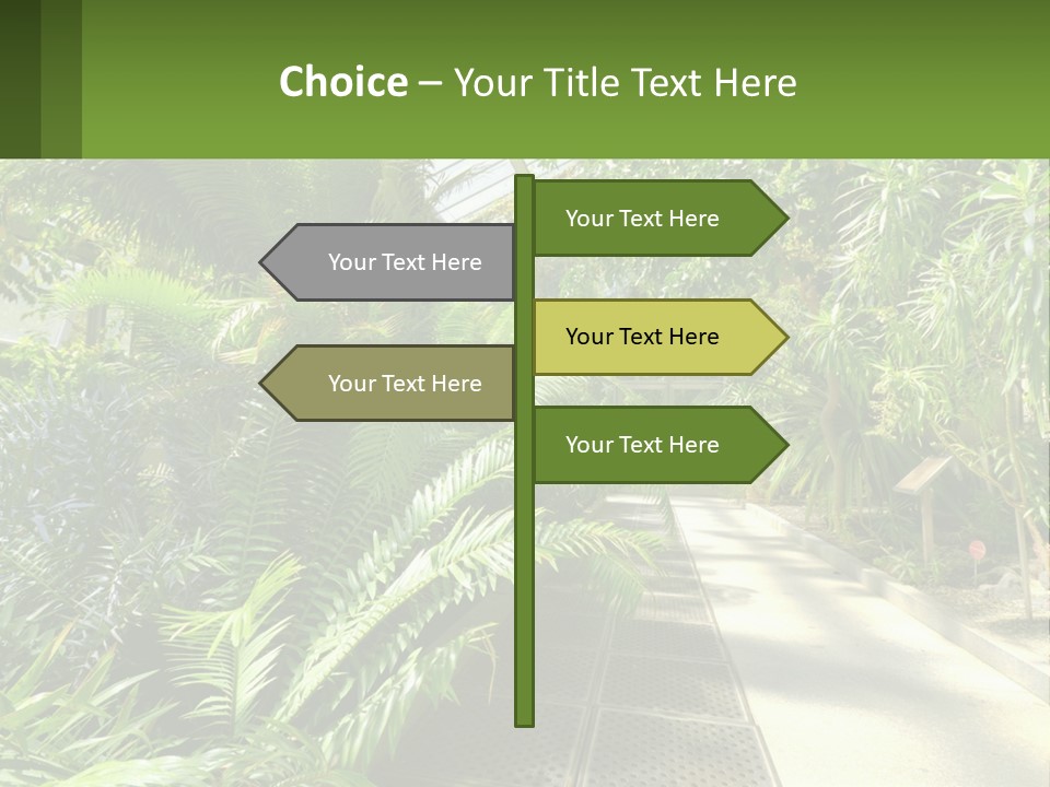 Palm Trees In The Greenhouse PowerPoint Template