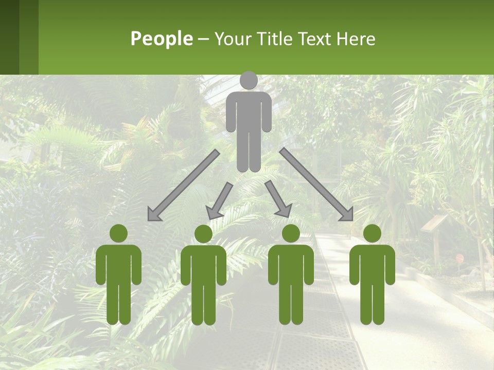 Palm Trees In The Greenhouse PowerPoint Template