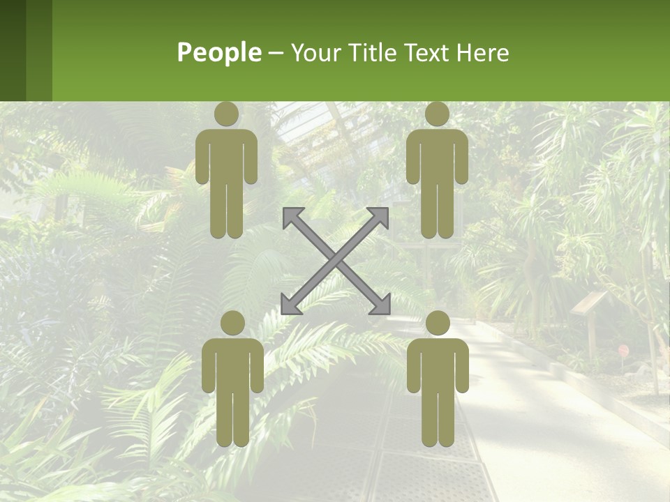 Palm Trees In The Greenhouse PowerPoint Template