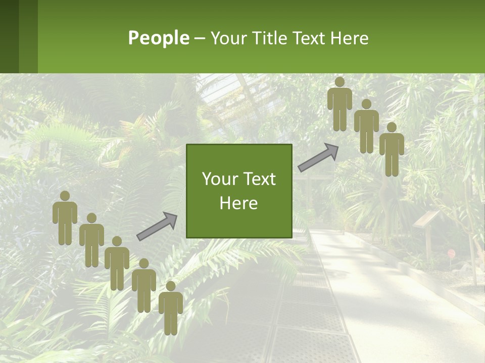 Palm Trees In The Greenhouse PowerPoint Template