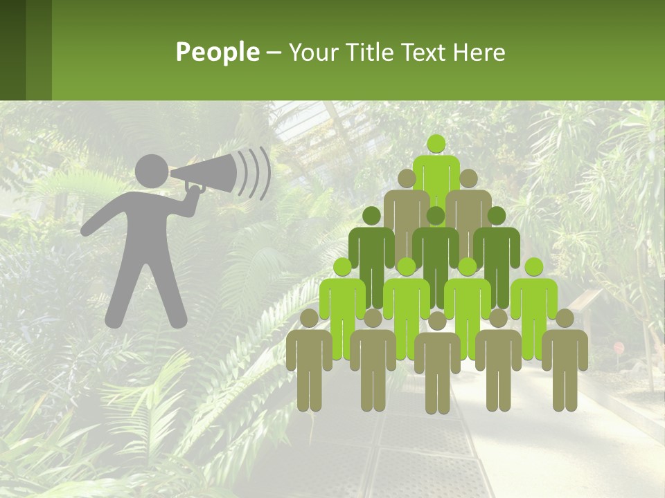 Palm Trees In The Greenhouse PowerPoint Template