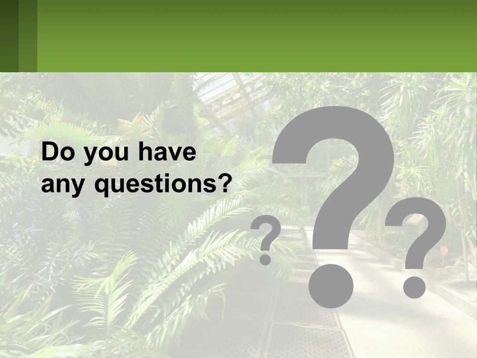 Palm Trees In The Greenhouse PowerPoint Template