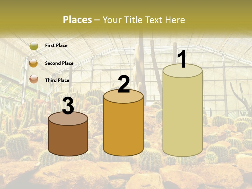 Greenhouse Cacti PowerPoint Template