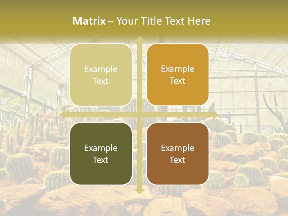 Greenhouse Cacti PowerPoint Template