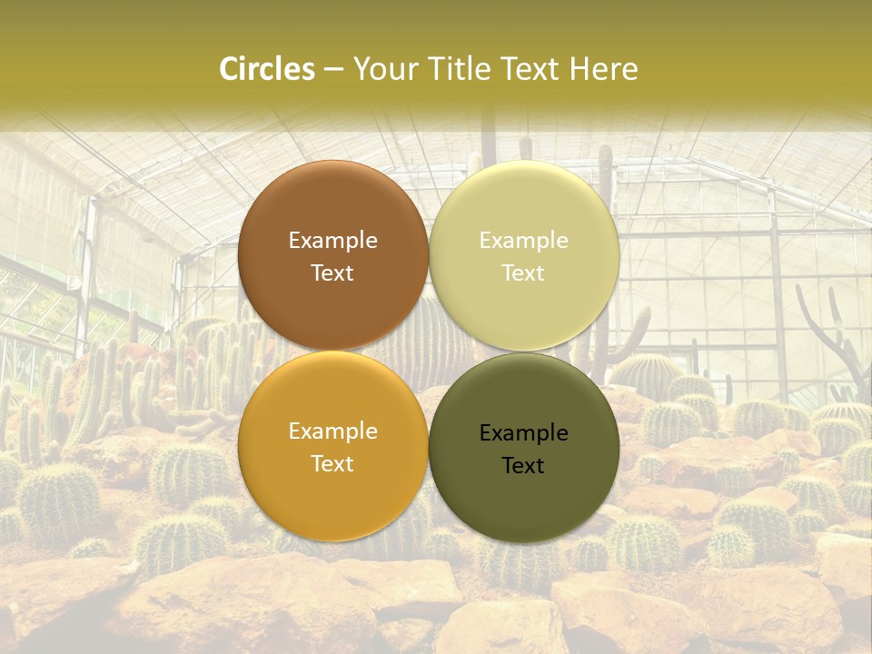 Greenhouse Cacti PowerPoint Template