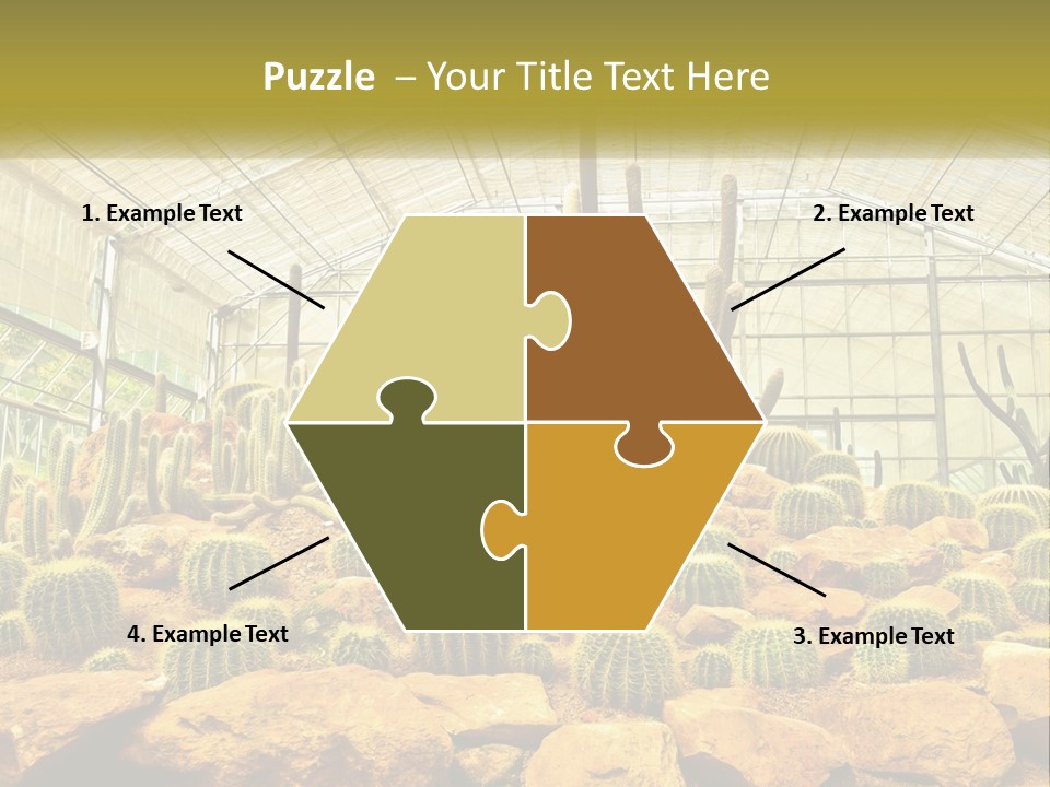 Greenhouse Cacti PowerPoint Template