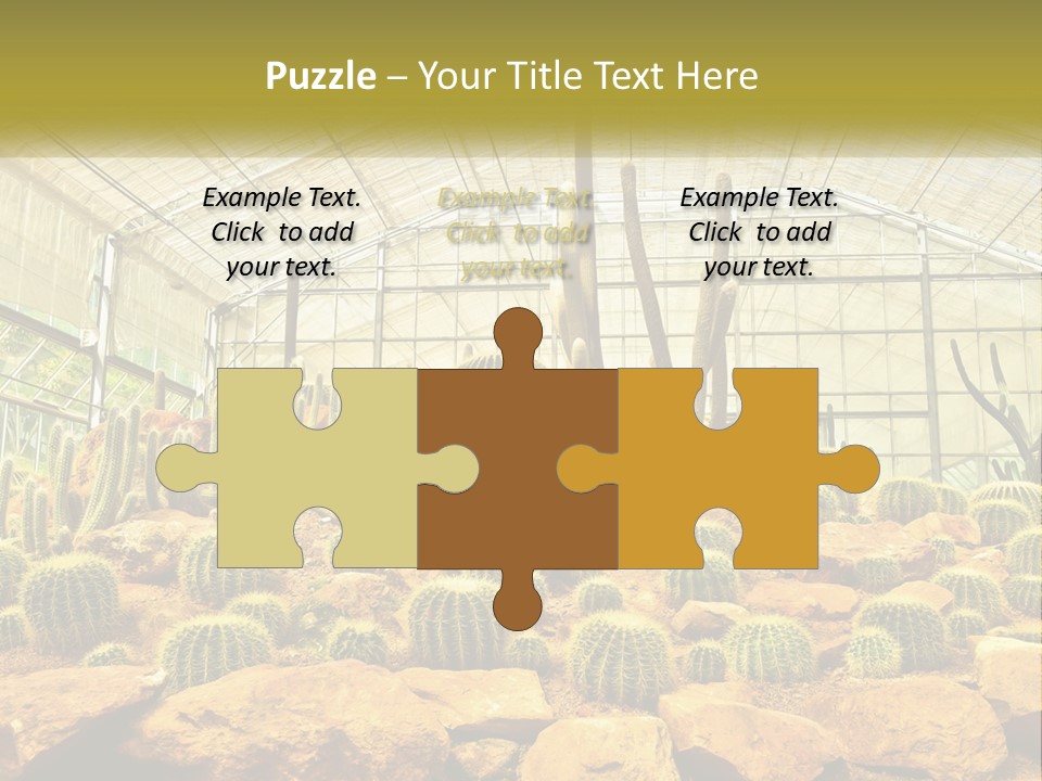 Greenhouse Cacti PowerPoint Template