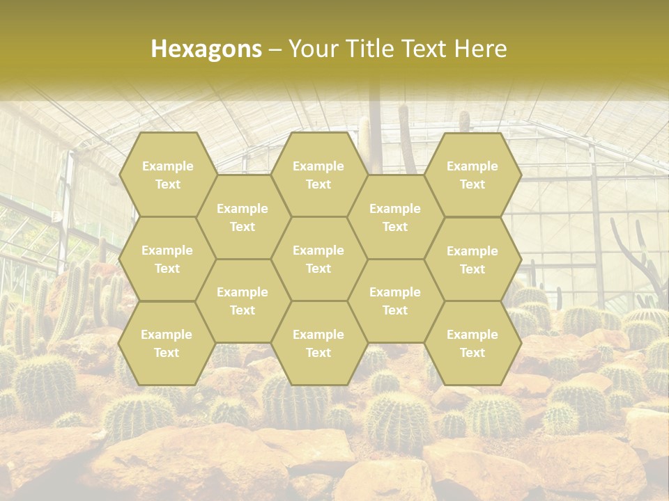 Greenhouse Cacti PowerPoint Template