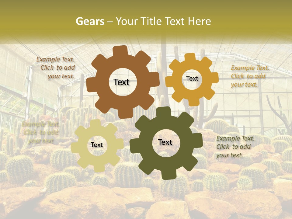 Greenhouse Cacti PowerPoint Template
