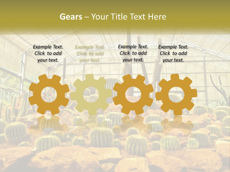 Greenhouse Cacti PowerPoint Template