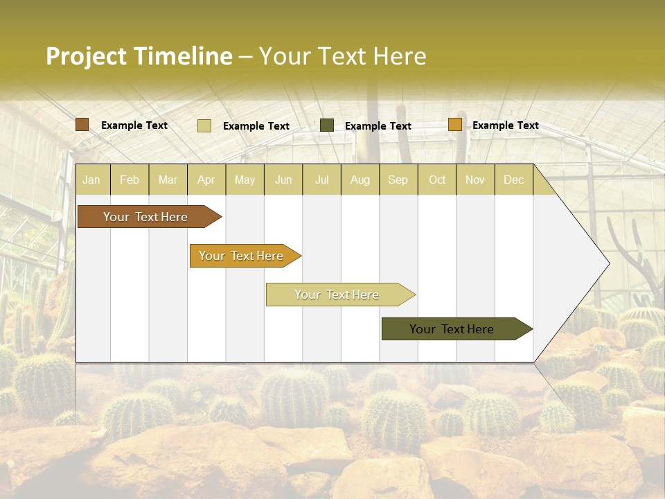 Greenhouse Cacti PowerPoint Template