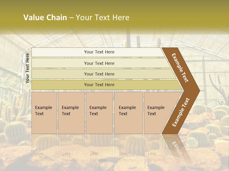 Greenhouse Cacti PowerPoint Template